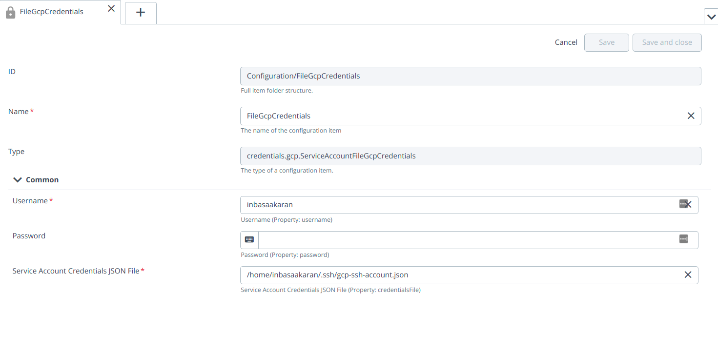 ServiceAccountFileGcpCredentials-Fileds