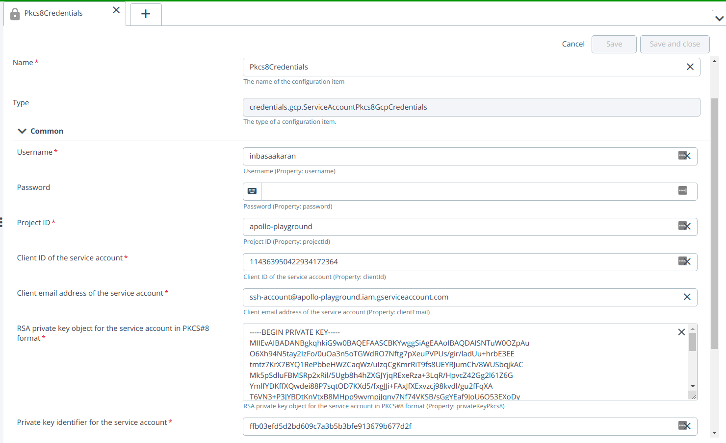 ServiceAccountPkcs8GcpCredentials-Fields